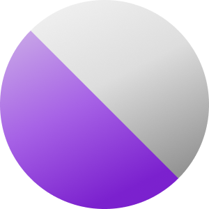 Zilverkleurig / Violet