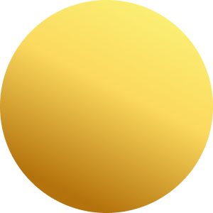 Goud / Zwart
