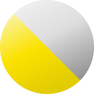 Zilverkleurig / Zwart / Geel